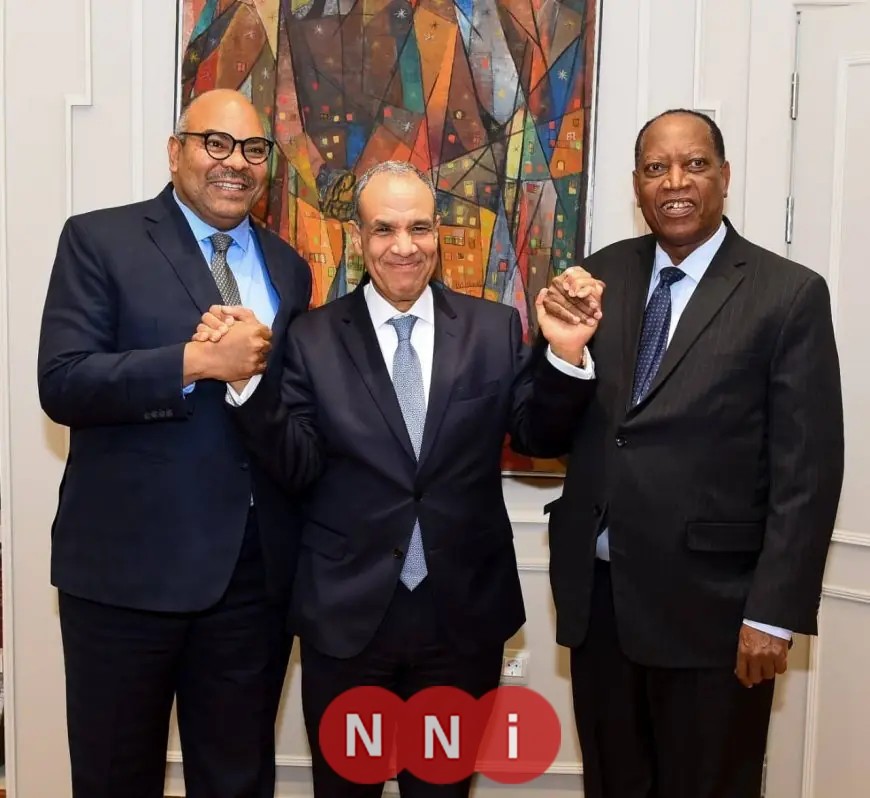 لقاء هام بين وزير الخارجية ونظيره التنزاني لتعزيز التعاون الثنائي