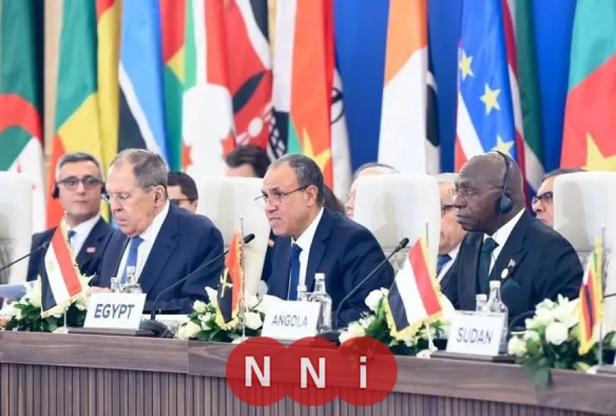 وزير الخارجية يسلط الضوء على استراتيجية مصرية لتعزيز الأمن والتنمية في أفريقيا