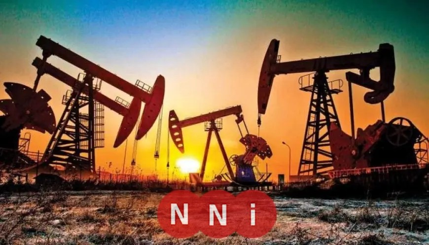 استثمارات مليارية جديدة في قطاع الغاز والنفط في مصر خلال 5 سنوات بموافقة وزير البترول