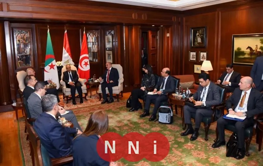 اجتماع ثلاثي بين وزير الخارجية ونظيريه من الجزائر وتونس لبحث الوضع في ليبيا