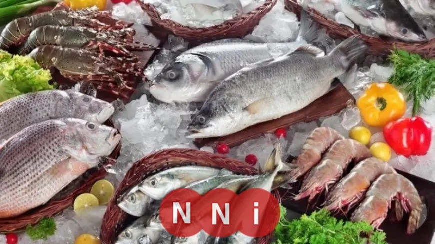 تعرف على أسعار الأسماك اليوم: المكرونة الخليجي بسعر 75 جنيهًا الأحد