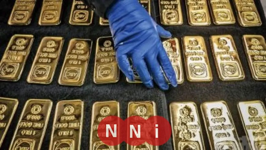 تحديثات حية لأسعار الدواجن والبيض اليوم الأحد في الأسواق المصرية