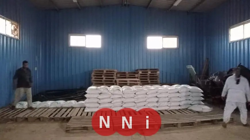 وزارة الزراعة توفر 100 طن تقاوي شعير و33 ألف شتلة زيتون مجاناً