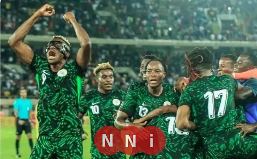 التشكيل الرسمي لمباراة نيجيريا ضد تنزانيا في كأس أمم إفريقيا 2025