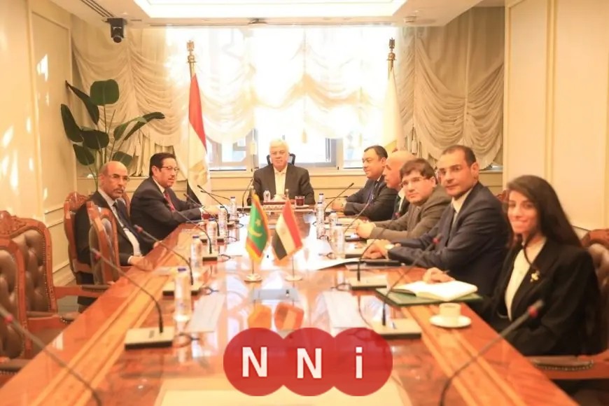 وزير التعليم العالي يناقش تعزيز التعاون مع سفير موريتانيا في القاهرة في مجالات التعليم العالي