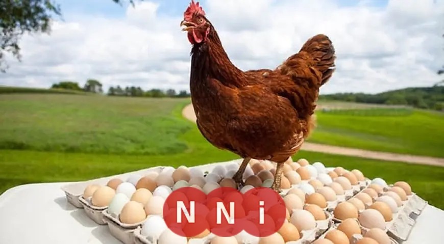 Please provide the original headline you would like rewritten.