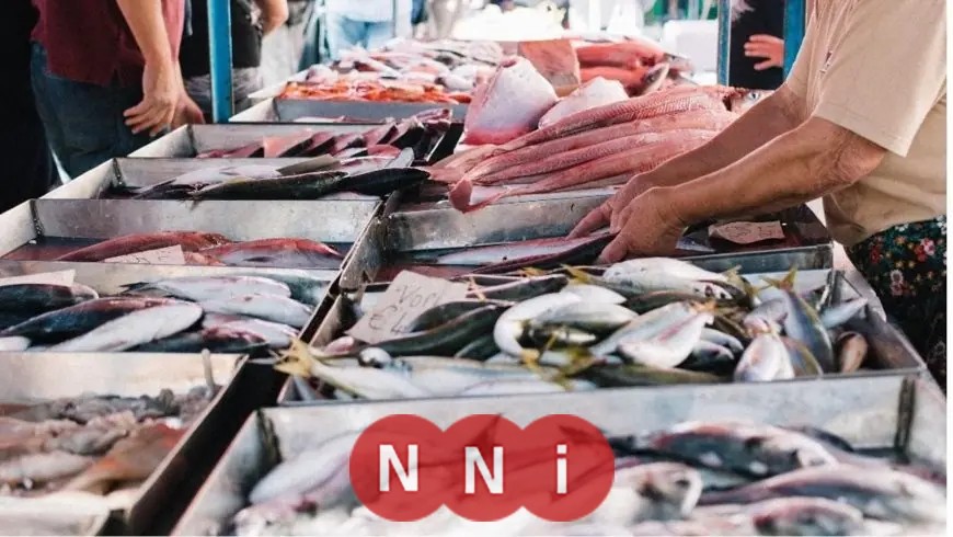 تحديث أسعار الأسماك اليوم الأحد: البلطي يبدأ من 68 جنيهًا فقط