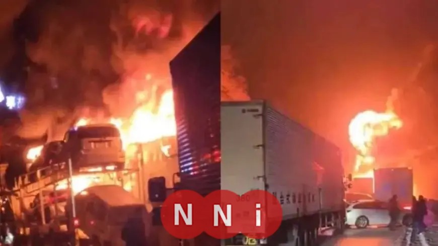 تكريم كوادر التأمين الصحي الشامل: نائب رئيس الوزراء يحتفي بيوم الوفاء