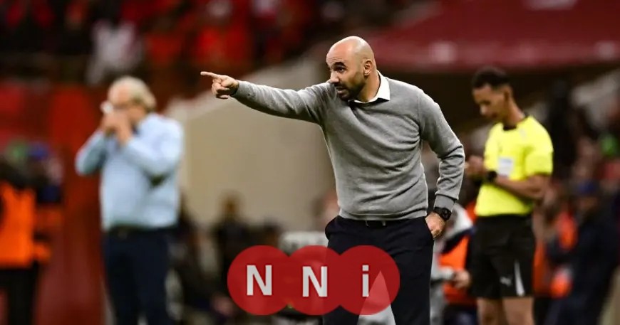 من مجد كأس العالم إلى عاصفة الانتقادات.. اكتشف أسباب مهاجمة وليد الركراكي