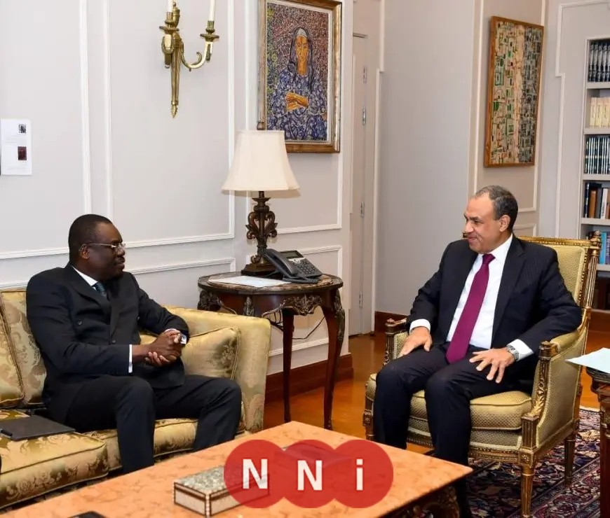 وزير الخارجية يؤكد التزام مصر بتعزيز الصحة والأمن الدوائي في أفريقيا