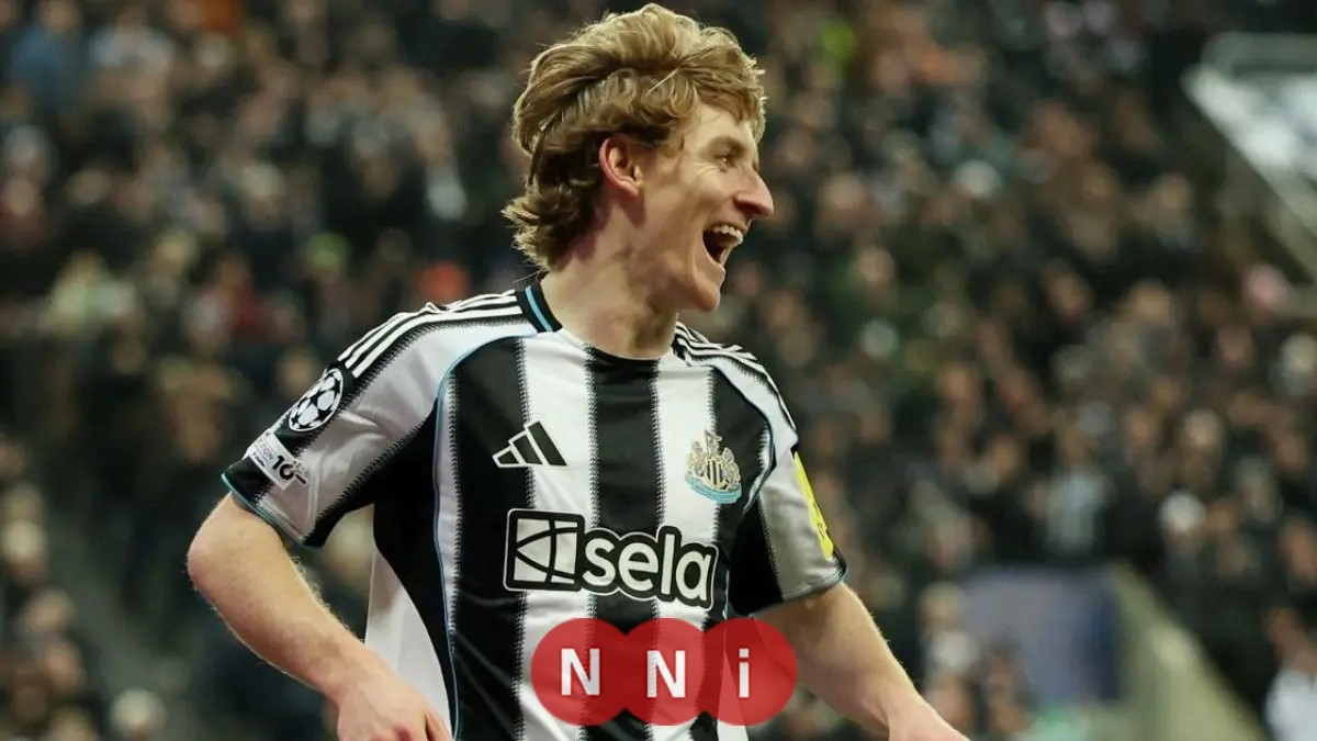 غوردون يتألق ويحطم رقم شيرر الأسطوري في دوري أبطال أوروبا بقميص نيوكاسل