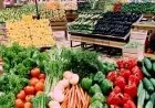 تعرّف على أسعار الفلفل الرومي والخضروات والفاكهة اليوم الخميس ابتدءاً من 10 جنيهات