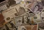 تعرف على سعر الدولار أمام الجنيه في ختام التعاملات اليوم