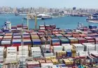 زيادة ملحوظة بنسبة 7.7% في حركة تداول البضائع بميناء الأسكندرية خلال ديسمبر 2025