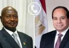 السيسي يهنئ الرئيس الأوغندي بفوزه في الانتخابات الرئاسية الجديدة