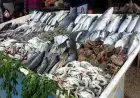 تعرف على أسعار الأسماك اليوم الأحد في سوق العبور قشر البياض يبدأ من 190 جنيهًا فقط