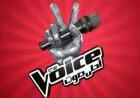اكتشف سبب أزمة برنامج ذا فويس بعد انتهاء الموسم الأخير
