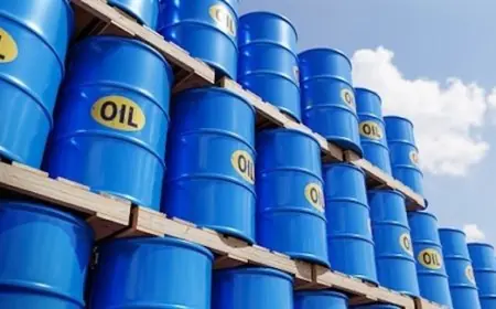 انخفاض أسعار النفط في نهاية 2025 بنسبة تقارب 20 بالمائة