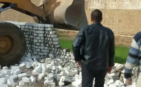 إزالة 262 حالة تعدٍ على الأراضي الزراعية في المحافظات: إنجازات وزارة الزراعة