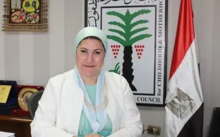 المجلس القومي للطفولة والأمومة 2025: إنشاء منظومة وطنية شاملة لحماية الأطفال