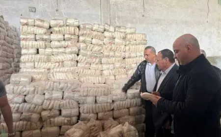 ضبط 29.6 طن من المواد الغذائية غير المعروفة في الشرقية لتعزيز سلامة المستهلكين