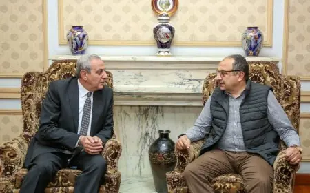 وزير قطاع الأعمال يناقش تعزيز تطوير غزل المحلة مع محافظ الغربية