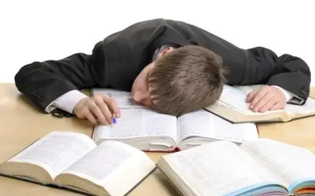 أساليب تعليمية مبتكرة تحول الأطفال إلى عُشاق للمعرفة