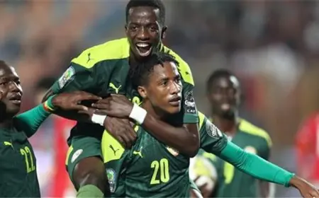 السنغال تحقق التعادل أمام السودان بعد 30 دقيقة من تسجيل أسود التيرانجا هدفا مذهلا