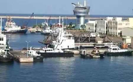 استقبال 27 سفينة في ميناء دمياط خلال يوم واحد