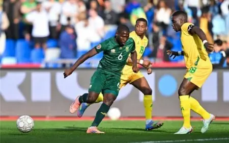 مواجهة حاسمة بين جنوب إفريقيا والكاميرون في دور الـ16 من كأس الأمم الإفريقية