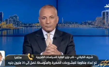 كم جمعت مصر من جمارك الهواتف المستوردة؟ نائب وزير المالية يكشف التفاصيل