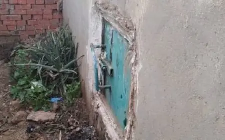 اكتشافات مذهلة عن عسل مقبرة الكمايشة: سر النحل والشيخ المدفون وتأثيره على الأهالي