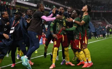 الكاميرون تتألق بفوزها على جنوب إفريقيا لتواجه المغرب في ربع نهائي أمم أفريقيا