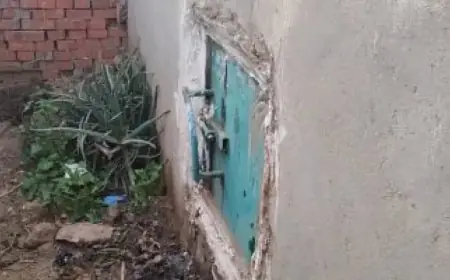 سر تأجيل دفن متوفى بالمنوفية: نحل وعسل وشيخ مدفون منذ 20 عامًا