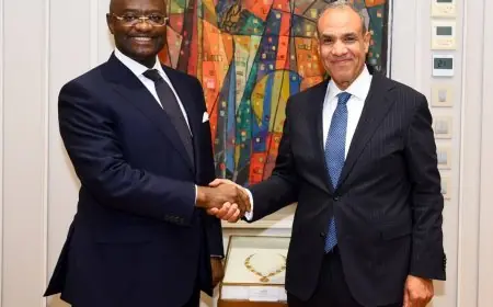 وزير الخارجية يلتقي رئيس بنك التصدير والاستيراد الأفريقي لتعزيز التعاون الاقتصادي