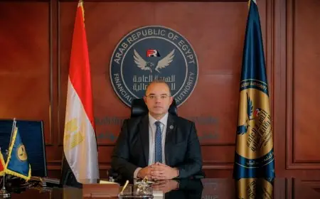 الرقابة المالية تكشف عن أول سجل لقيد شركات تقييم المخاطر في قطاع التمويل غير المصرفي