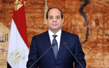 الرئيس السيسي يؤكد على تعزيز التعاون المصري السعودي لحل القضايا المشتركة