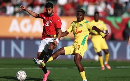 الفهود يتعادلون مع الفراعنة في مواجهة مثيرة بكأس أمم أفريقيا مصر ضد بنين
