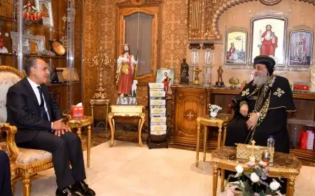 تهنئة وزير الخارجية لقداسة البابا تواضروس الثاني بمناسبة عيد الميلاد المجيد