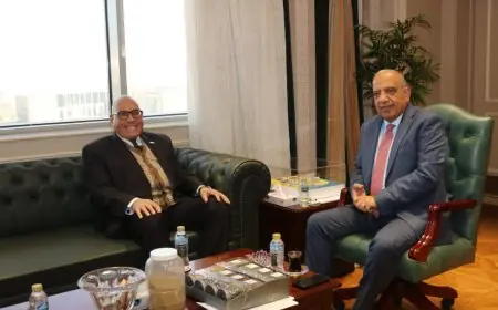 وزير الكهرباء يؤكد دعم خطة الدولة للتوسع في الطاقات النظيفة وزيادة كفاءة مشروعات الطاقة