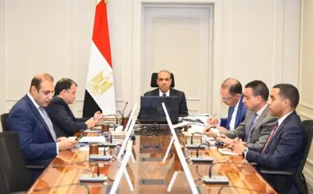 وزير الخارجية يعلن عن دعم مصر القوي لوحدة وسيادة الصومال في مجلس السلم والأمن الأفريقي