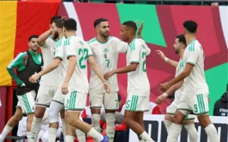 أرقام وحقائق مباراة الجزائر والكونغو الديمقراطية في دور الـ16 لكأس أمم أفريقيا