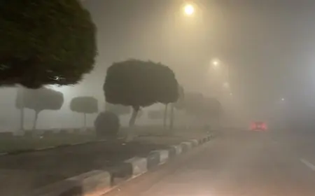 الأرصاد الجوية تحذر: شبورة مائية كثيفة تهدد الطرق غدًا