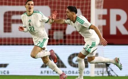 متى يلتقي منتخبا الجزائر ونيجيريا في ربع نهائي كأس أمم إفريقيا؟