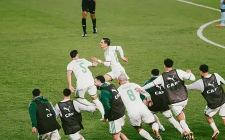 5 أرقام مذهلة عادل بولبينة ولوكا زيدان يصنعان التاريخ ويبشران بالخير للجزائر