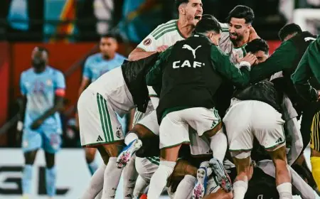 مؤمن أبو سريع يعتبر منتخب الجزائر الأقوى لبلوغ نهائي كأس أمم أفريقيا