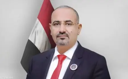 تحالف دعم الشرعية يكشف: هروب عيدروس الزبيدي إلى أبوظبي عبر أرض الصومال