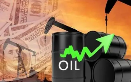 ارتفاع أسعار النفط بنسبة 3% اليوم الخميس عند التسوية