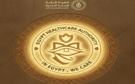 بدء تشغيل منصات مشروع السياحة العلاجية نرعاك في مصر لتعزيز الرعاية الطبية