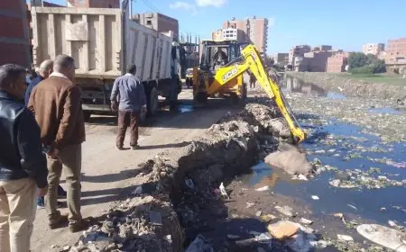 إزالة الحيوانات النافقة من قناة عزبة أحمد فوزي بالقناطر الخيرية لسلامة البيئة